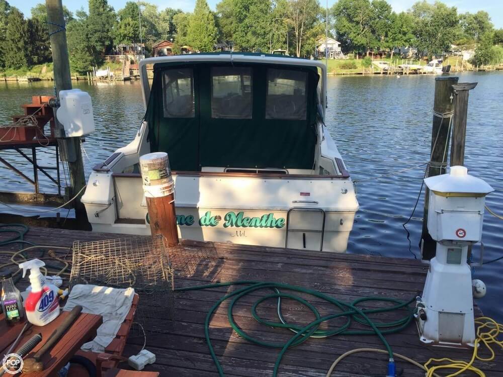1988 Sea Ray 29 - Photo #2