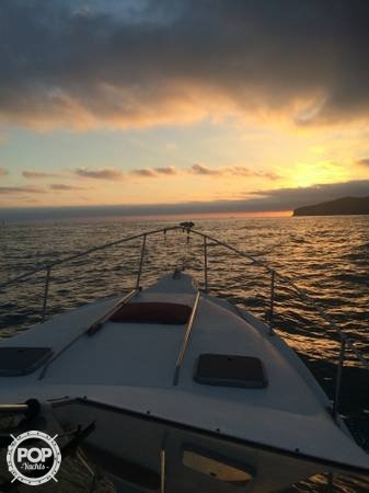 1989 Sea Ray 26 - Photo #2