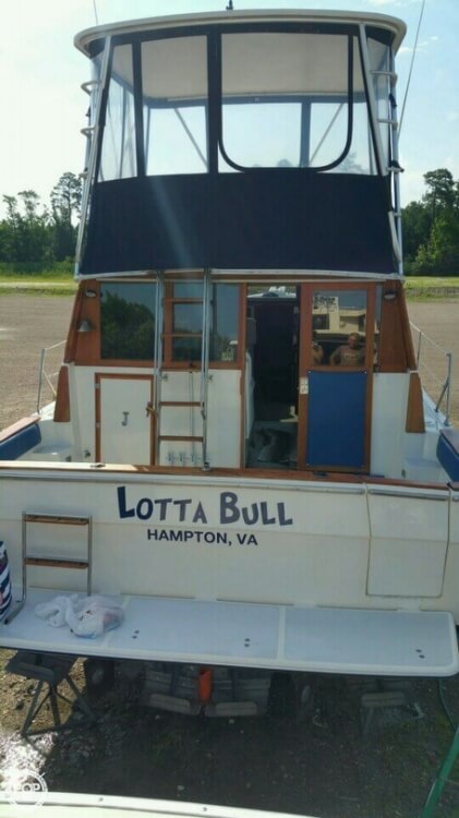 1988 Bayliner 38 - Photo #7